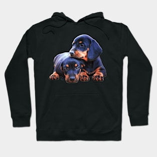 Sweet Dachshund Puppies Hoodie